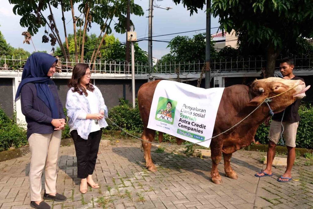 ACC Serahkan Ratusan Hewan Kurban Idul Adha 1445 H